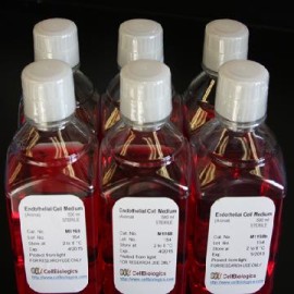 Antibiotic/Antimycotic Solution (1:100) Antibiotic/Antimycotic Solution (1:100)
